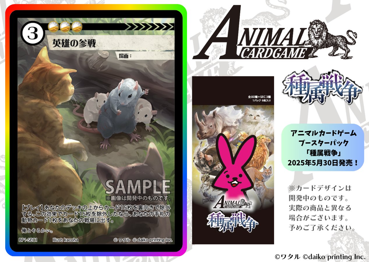 上品なスタイル 公式】アニマルカードゲーム【第1弾デッキ＆領土セット好評発売 その他