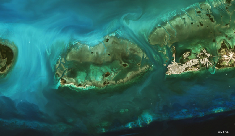 UMITRON | ウミトロン 公式 tweet media