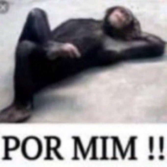 sepmemes_'s tweet photo. e ninguém cala esse chorôrô https://t.co/DH1ekxHWZ7