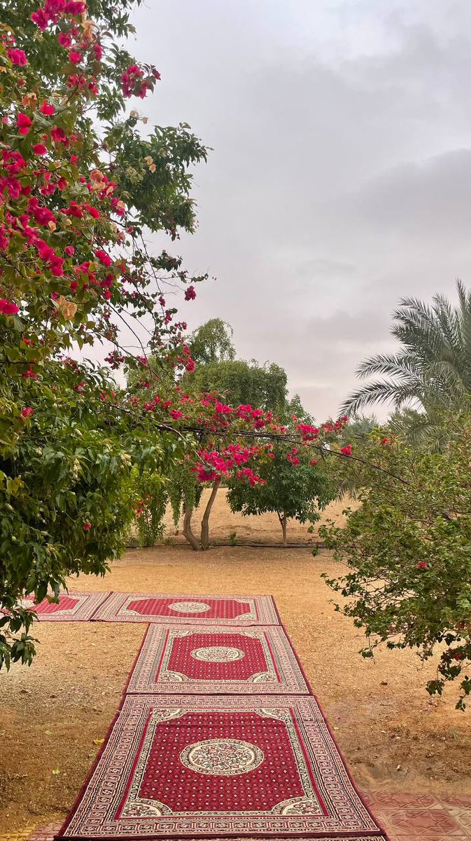 عبدالعزيز|⚖️ (@zz_01a) on Twitter photo 