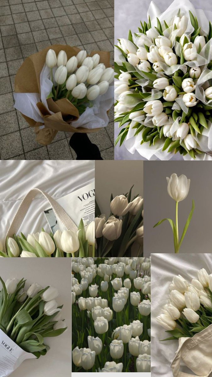 Only Tulips (@tutututututulip) on Twitter photo 