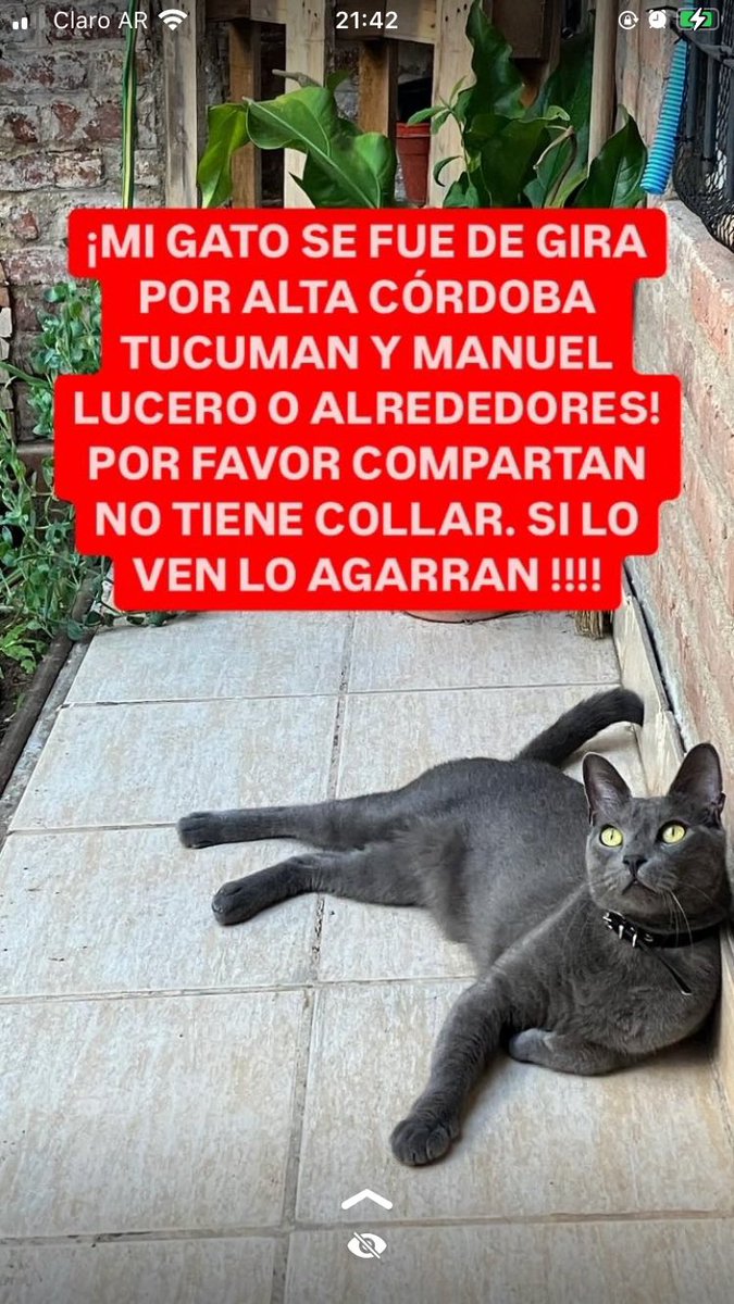 por fa retuit ya no me quedan lágrimas <a href="/infoaltacba/">Info Alta Córdoba</a> <a href="/R_altacordoba/">República de Alta Córdoba</a> <a href="/altacordobaweb/">alta cordoba</a>