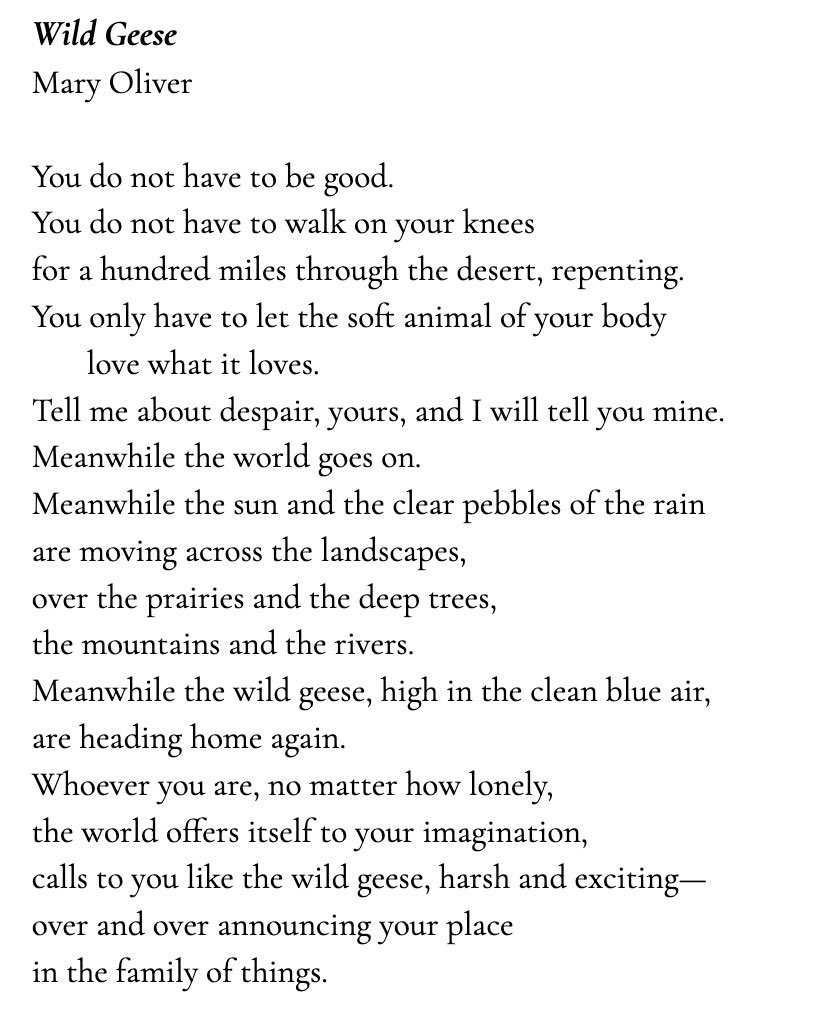 already did several times btw