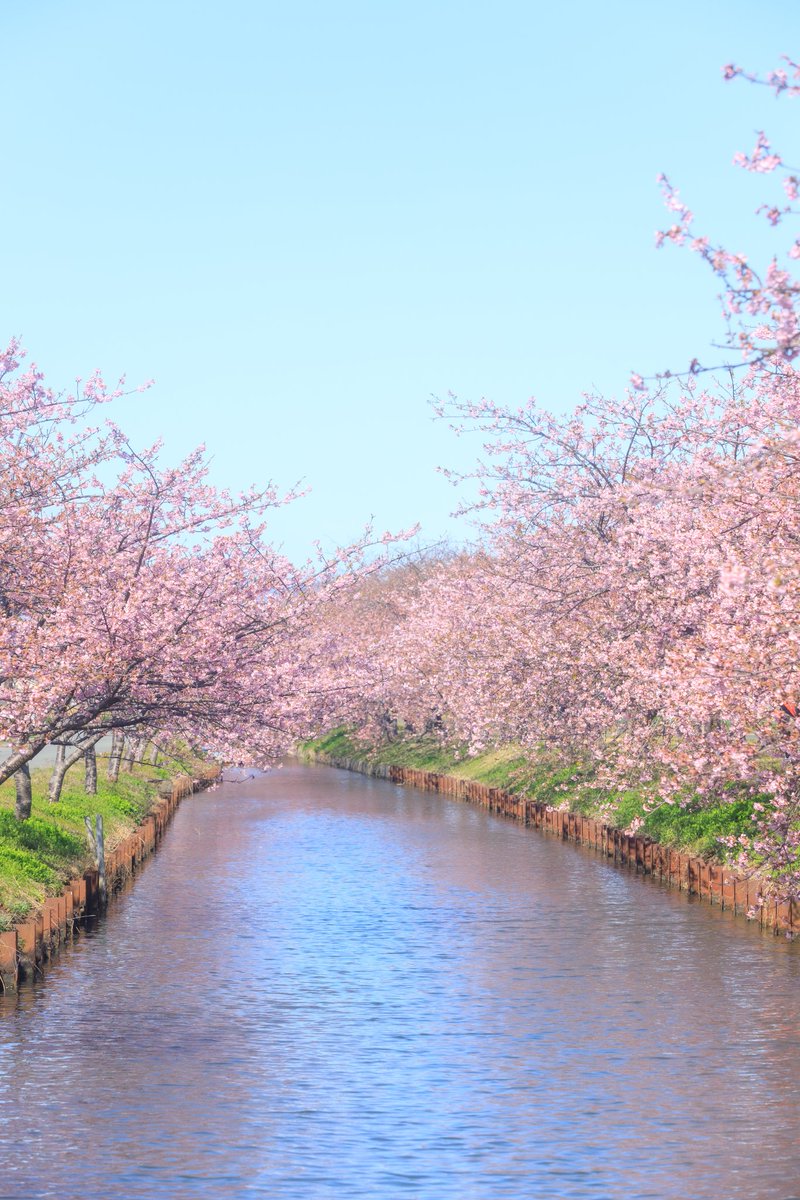 rimaphoto's tweet image. どこまでも続いていそうで