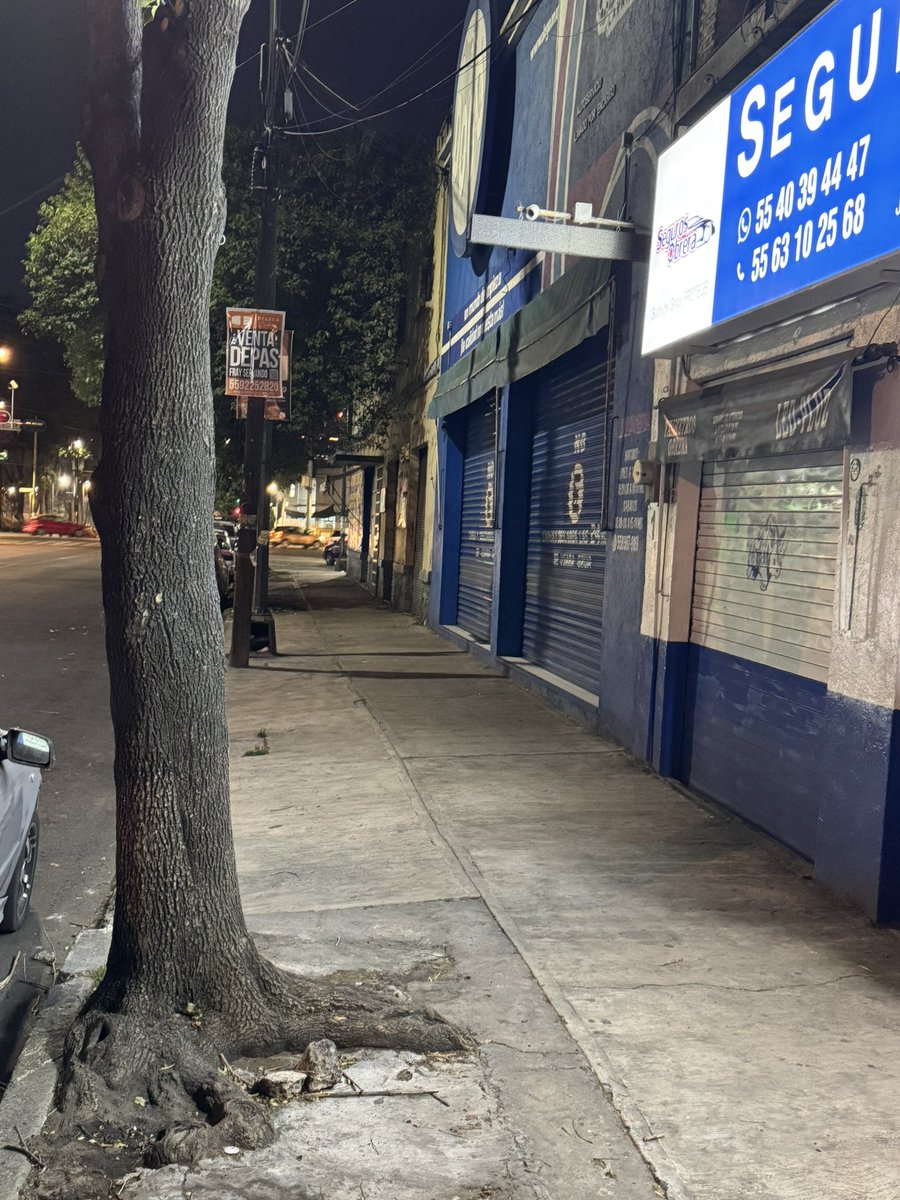 rockyerful's tweet photo. @supercivicosmx @PAOTmx @SSC_CDMX @AlcCuauhtemocMx #EjercitoDeArboles Hay un árbol en la colonia obrera tapado con cemento en la calle de José T. Cuéllar frente a la gasolinera casi esquina con eje central https://t.co/rIpbs7CpgC