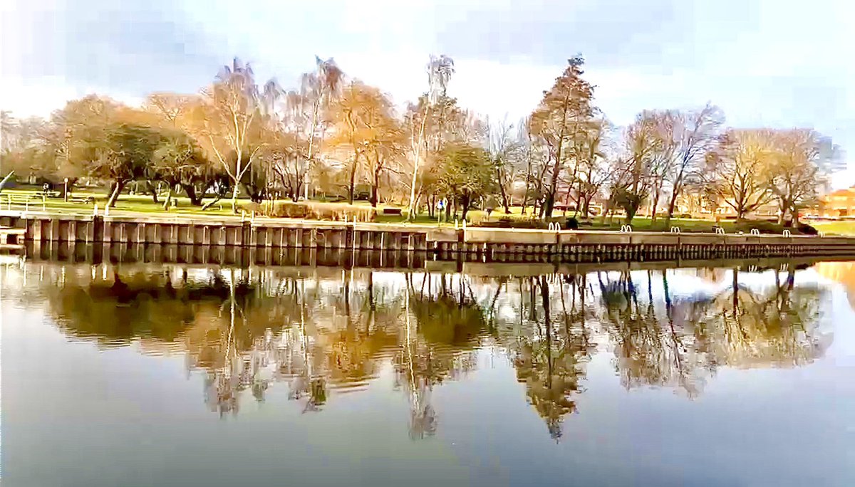 Chris Hoyle tweet media