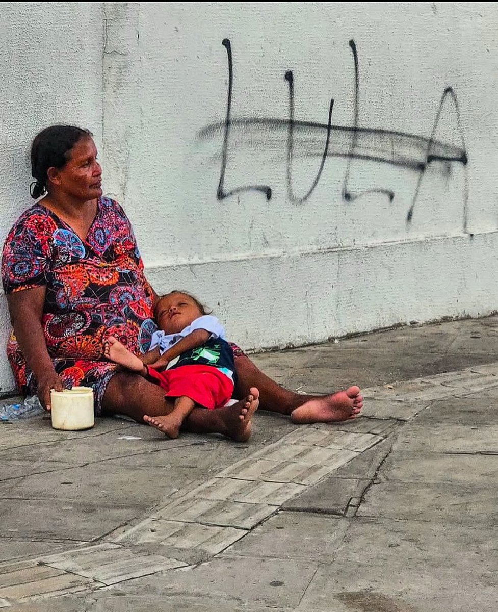 TGustavoLazaroT's tweet image. 