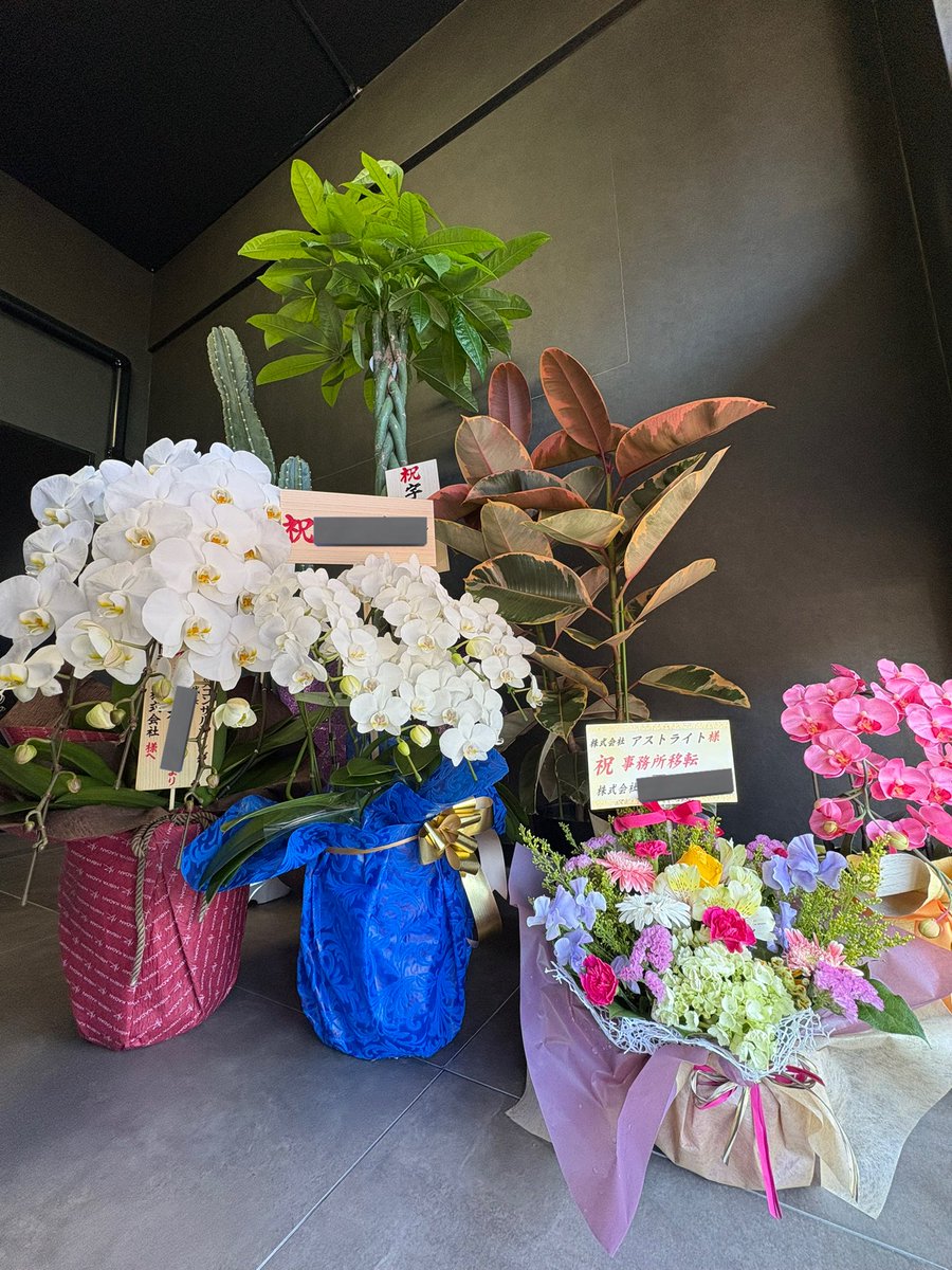 ASTRYT2022's tweet photo. 3月10日本社、営業所が無事に移転完了しました💡
震災から14年を迎え、微力ながら弊社も更なる地域防災力向上に貢献できれば幸いでございます。
たくさんのお祝い、ご訪問ありがとうございます。
とてもいい雰囲気で新たな出発を迎えられました。
ありがとうございます✨ https://t.co/ss1xg8wWH4