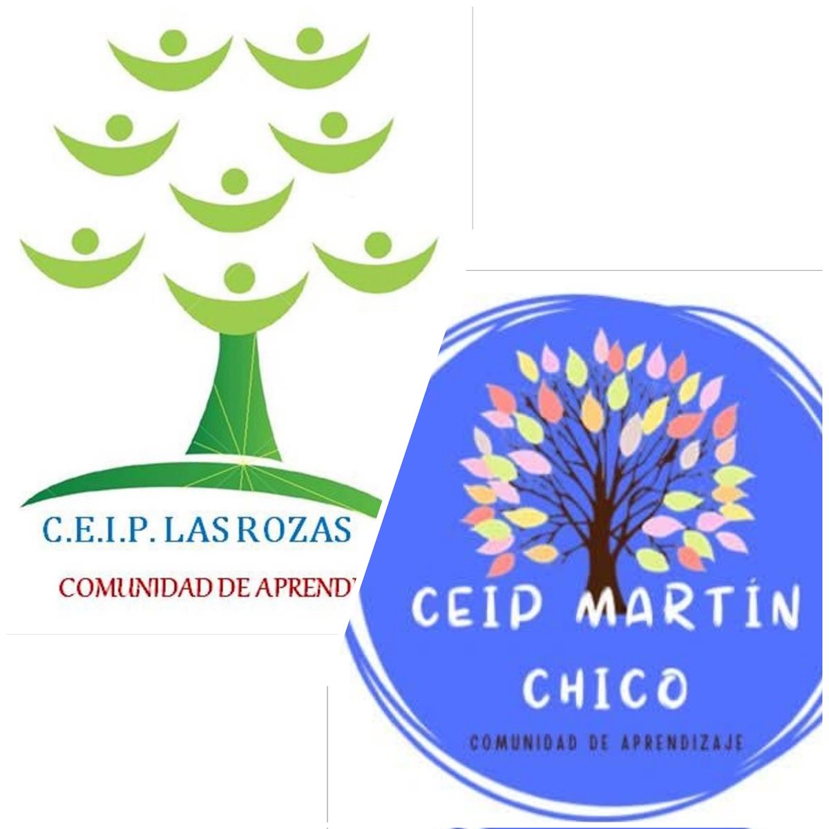 La Comunidad de Aprendizaje de las Rozas y La Comunidad de Aprendizaje Martín Chico  de Segovia participan en un PIE (Proyecto de Investigación Educativa). Maestr@s de Las Rozas visitarán al CEIP Martín Chico los días 12 y 13  
¡Innovación educativa!

<a href="/aytoguardo/">Ayuntamiento Guardo</a>
<a href="/educacyl/">Educación JCyL</a>