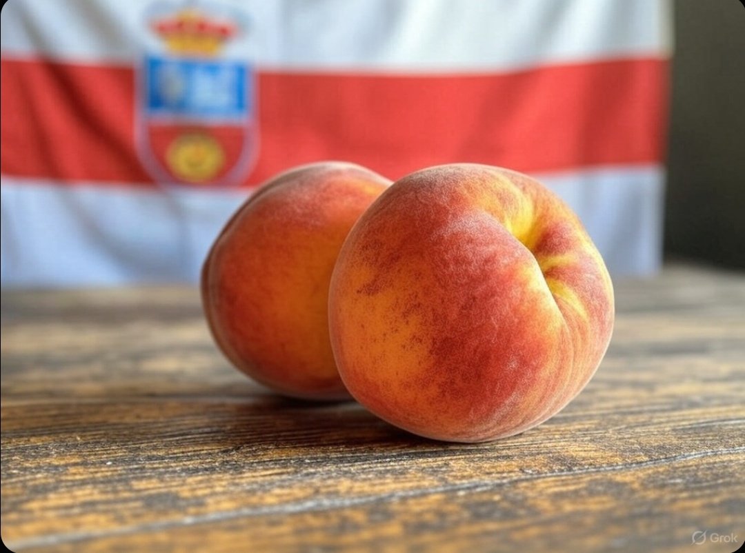 𝕃𝕠 𝕞𝕖𝕛𝕠𝕣 𝕕𝕖𝕝 𝕧𝕚𝕒𝕛𝕖, 𝕖𝕤 𝕧𝕠𝕝𝕧𝕖𝕣 𝕒 𝕔𝕒𝕤𝕒

12/03