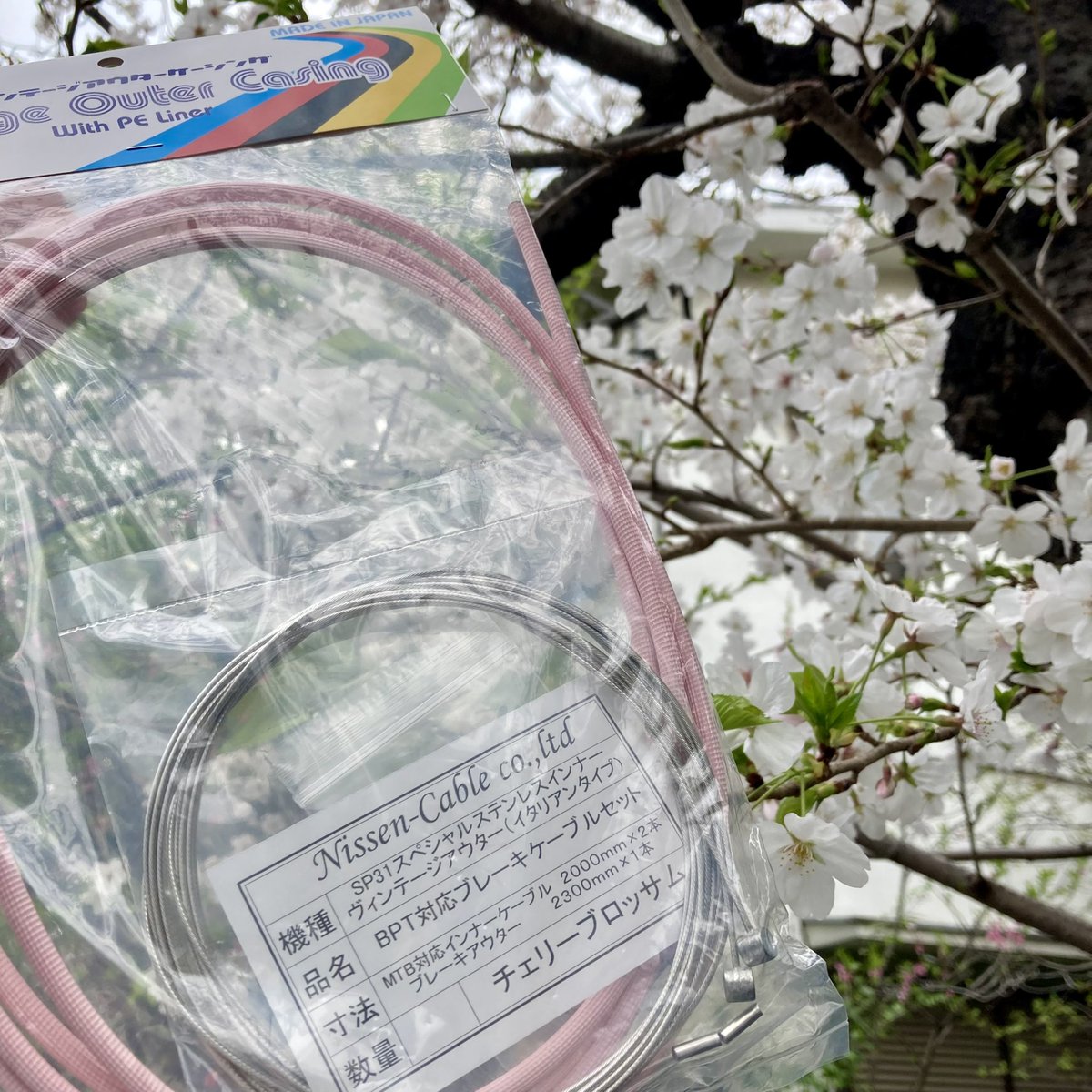 Nissencable (@nissen_cable) / X Nissencable (@nissen_cable) / X