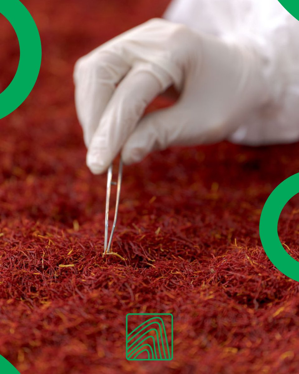 Agroota_co's tweet photo. “Details matter. Reach out to us to place your saffron order.”

#agroota #Saffron #spice #globaltrade #farming #SaffronHarvest #saffronwholesale https://t.co/rUw4Gl0DiR
