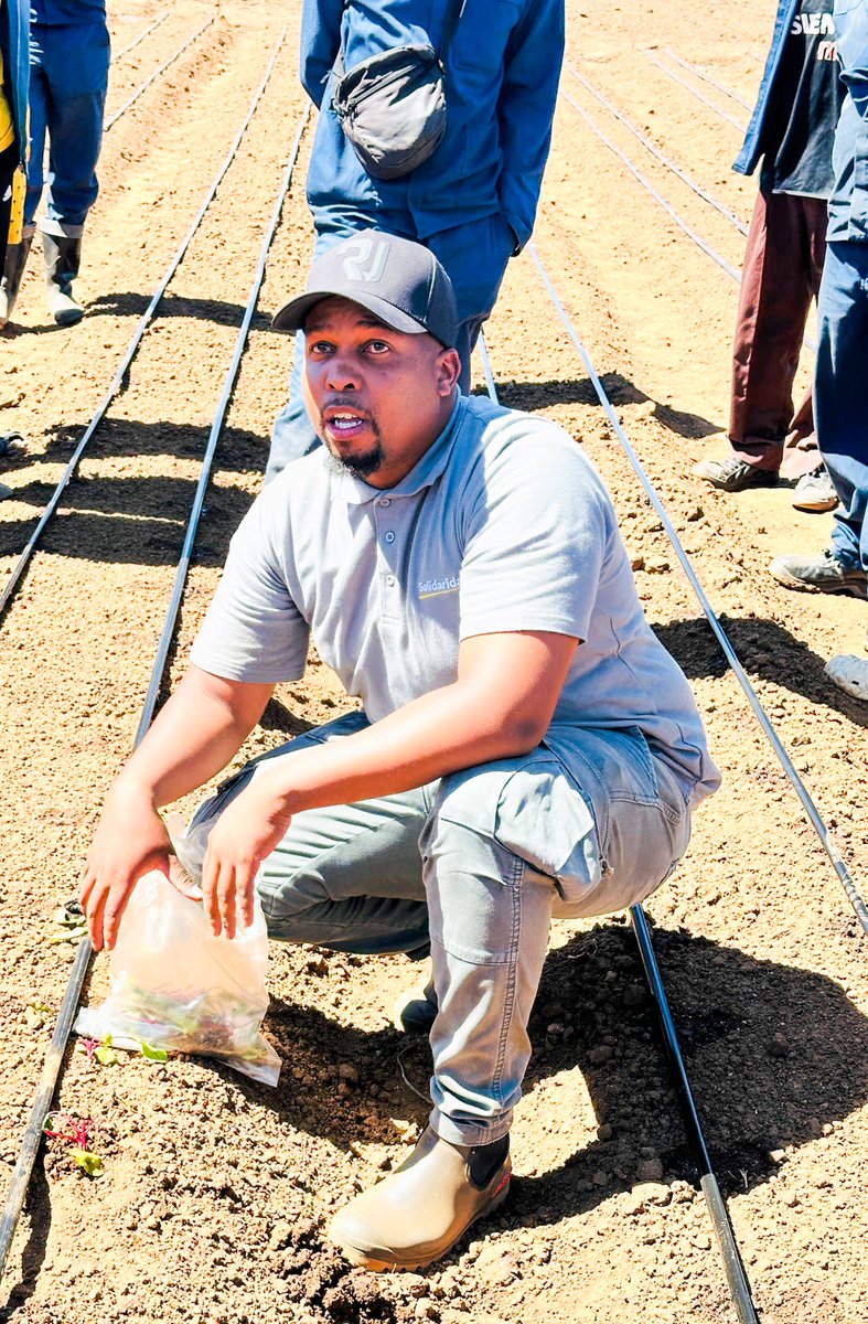 Solidaridad_SAF's tweet image. Seun Mokwena (30) from Rabie Ridge started as an Assistant Agricultural Practitioner, joined #SEF as a participant, and quickly rose to Site Administrator! 🔥 SEF fueled his confidence &amp;amp; ambition—next stop? Becoming a commercial farmer! And we’re here for it. 👏#Workforcommongood