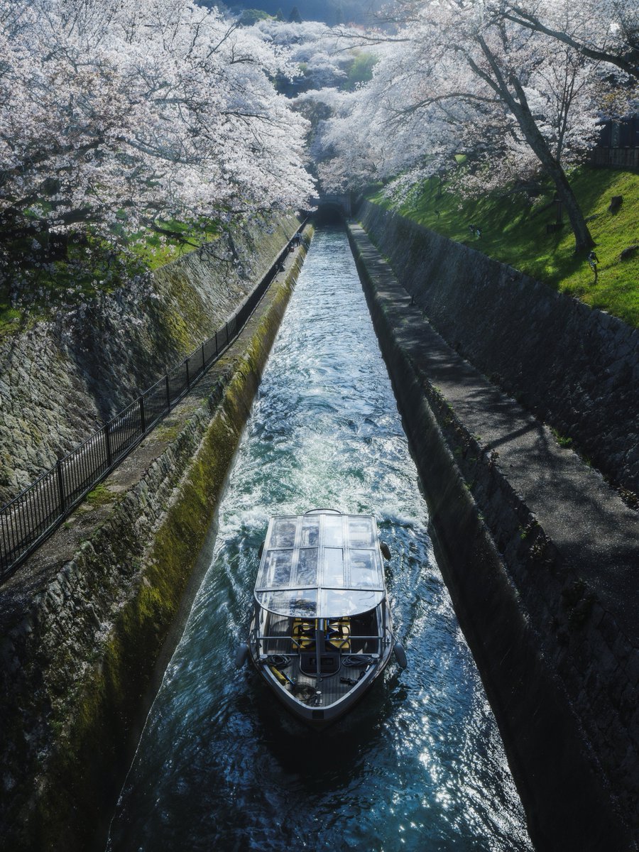 haruhara_kun's tweet image. YOU CAN (NOT) REDO.