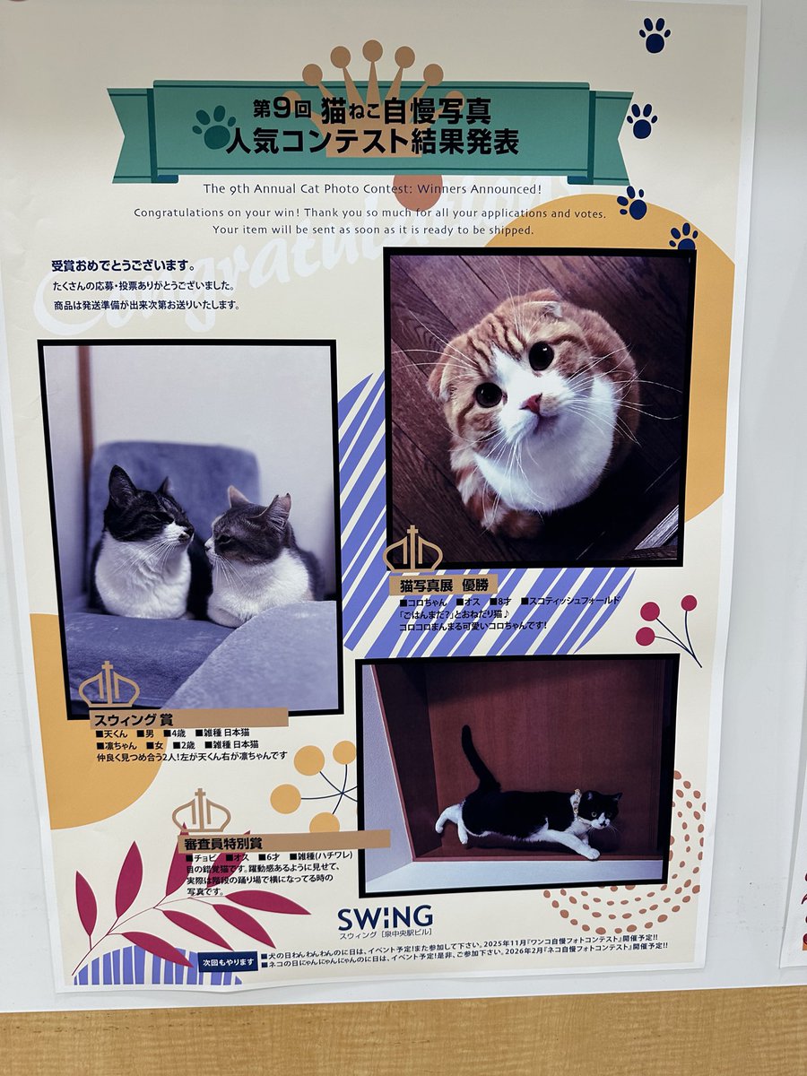 猫自慢写真コンテスト結果発表です。優勝はまんまるコロちゃん、スウィング賞は仲良しの天くんと凛ちゃん、今回新設の審査員特別賞は不思議な浮遊感のなかにいるチョビくんとなりました。シール投票で参加してくださったみなさん、ありがとうございました。
#スウィング#泉中央駅ビルスウィング