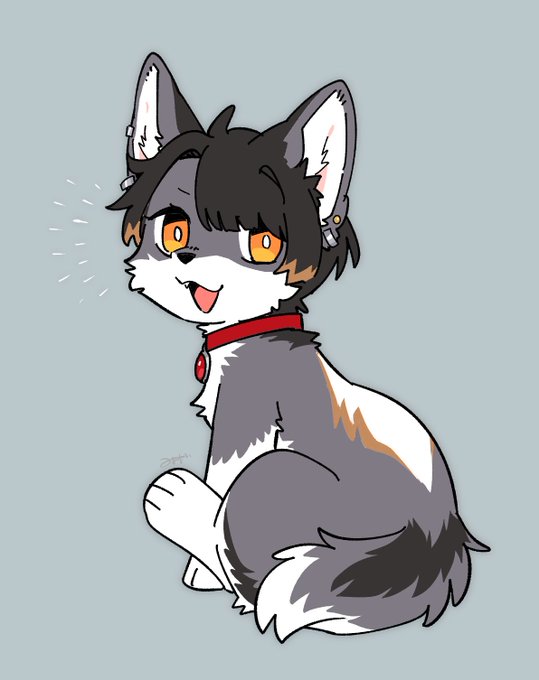 あほさはいつも通りです 