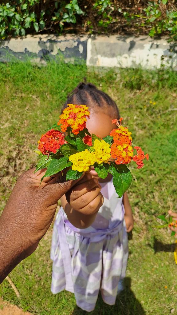 chuts_25's tweet photo. Collection Day Flowers to their owners #FatherStudies https://t.co/YUruZ3Agem