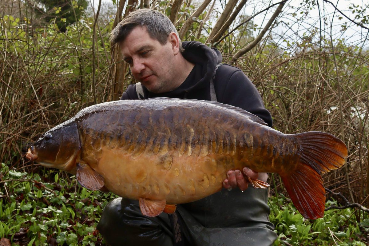 CC Moore & Co Ltd tweet media