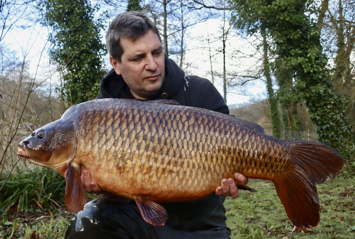 CC Moore & Co Ltd tweet media