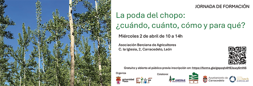 populuscyl tweet media