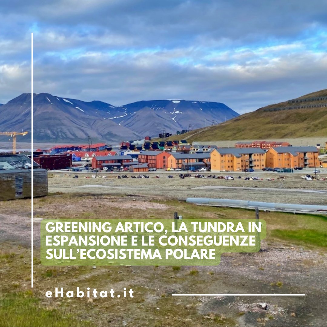 Greening artico, il fenomeno dell’espansione senza precedenti della tundra al Circolo Polare sarebbe direttamente connessa alla riduzione della copertura di ghiaccio marino e al ritiro dei ghiacciai.

ehabitat.it/2025/03/11/gre…

#circolopolare #greeningartico #tundra #ambiente