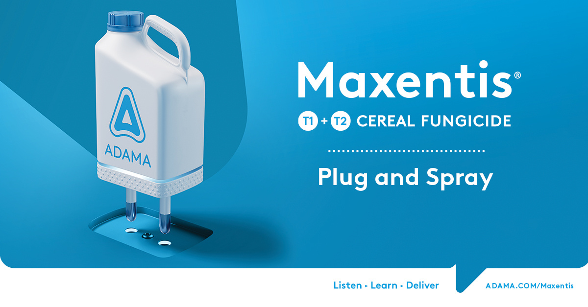 📢 Nieuw in Nederland: Maxentis® - onze nieuwe, veelzijdig #fungicide dat meerdere ziekten beheerst in tarwe, gerst, rogge en triticale.🌾
➡️ hubs.la/Q03bgg6R0 
#Gewasbescherming #trotsopdeboer #plugandspray