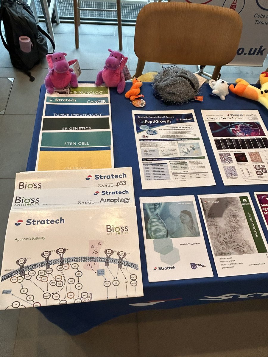 Chandni_Stratech tweet media