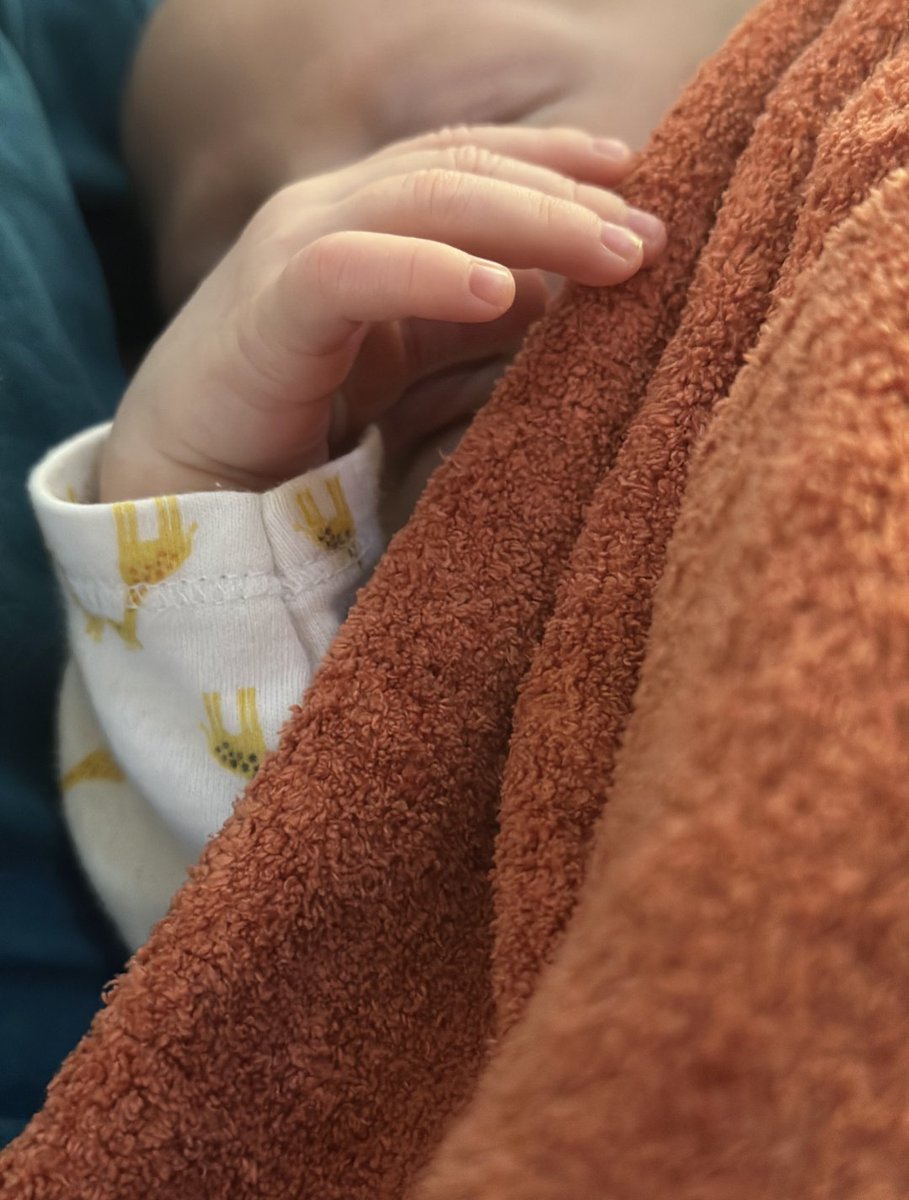 Ashley Winter MD || Urologist tweet media