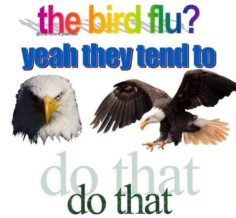 🕐HOURLY🕑 shitpost tweet media