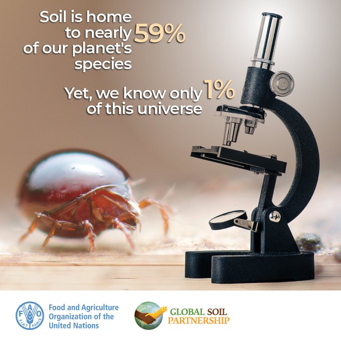 TNIAMProject's tweet photo. Interested in #SoilBiodiversity?
Environmental Specialist
@Worldbank @WorldBankWater @WBPubs @WorldBankIndia @tamilnadu_wrd @WBG_Climate @WBG_Environment
#ClimateChange
#GlobalWarming
#Carbonfootprint
#Biodiversity
#Resilienceplanning
#Soilhealth
#Climateregulation
#Sustainabledevelopment
#Pollutionfree
#Pollutionimpacts
