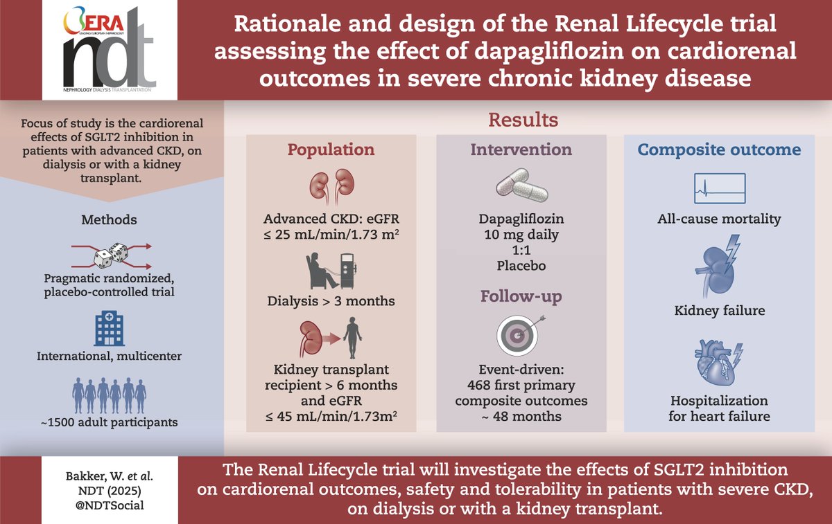 Rationale and Design of the RENAL LIFECYCLE Trial Assessing the Effect of Dapagliflozin on Cardiorenal Outcomes in Severe Chronic Kidney Disease

~1500 patients (GFR&lt;25, dialysis, or transplant GFR&lt;45)
PEP: HHF or all-cause mortality (dialysis) and ESKD

academic.oup.com/ndt/advance-ar…