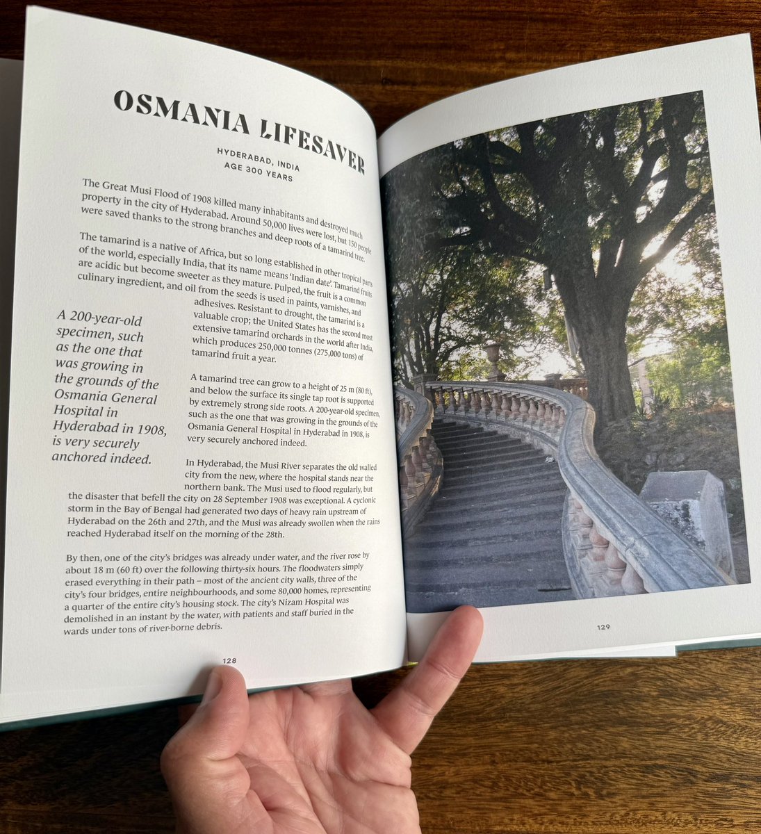 uday32008293's tweet image. @HarperCollins @HarperCollinsIN @PavilionBooks thank you for this beautiful book!!! appreciate you featuring the Osmania Tamarind Tree!! 

Hoping #TheBigTreeQuest efforts will also get the much needed support this and other incredible trees that Im documenting.

@vata_foundation