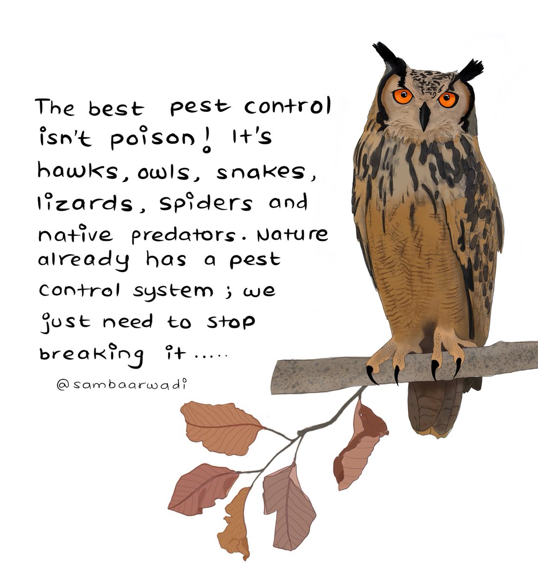 bvpat2501's tweet image. Poison-free pest control. It exists!

 #naturalpestcontrol #sustainableliving