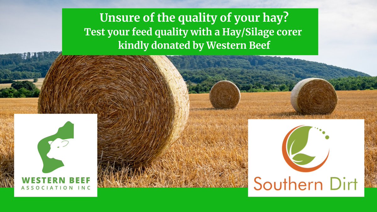 SouthernDIRT (@dirtsouthern) on Twitter photo Feeding out to stock to fill the summer feed gap? Wondering how nutritious your hay or silage is? <a href="/WesternBeefWA/">Western Beef Association Inc.</a> has kindly donated a Hay/Silage Corer to Southern Dirt for our members to use.
Please contact us if you would like to come and borrow this handy tool. Feeding out to stock to fill the summer feed gap? Wondering how nutritious your hay or silage is? <a href="/WesternBeefWA/">Western Beef Association Inc.</a> has kindly donated a Hay/Silage Corer to Southern Dirt for our members to use.
Please contact us if you would like to come and borrow this handy tool.