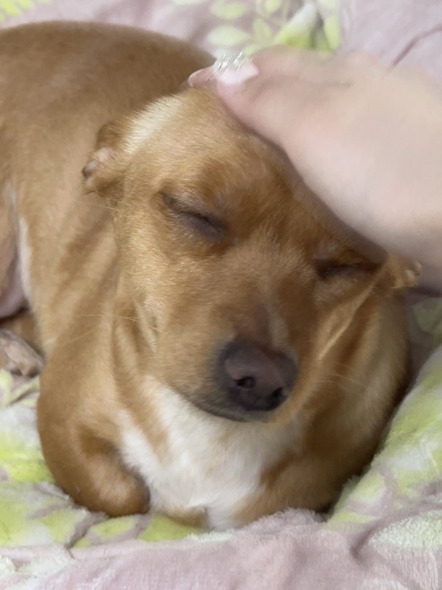 름담름담 🫳🏻🫳🏻