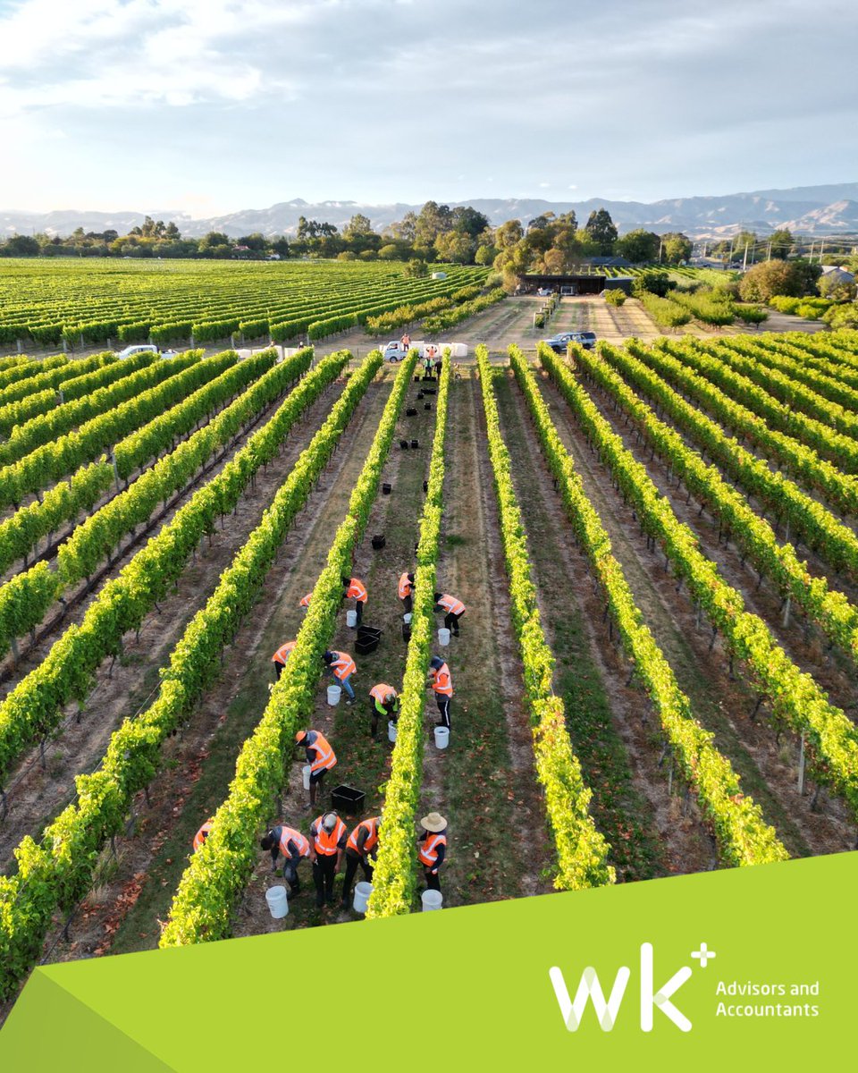 WK Advisors and Accountants tweet media