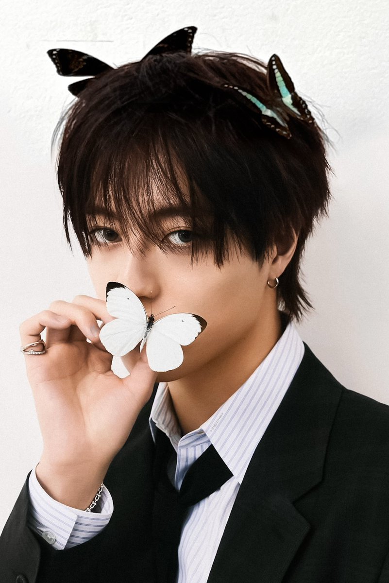 hd_haruto's tweet photo. — i love butterflies (하루토 와타-나비) 🦋 https://t.co/FSpl0f3miC