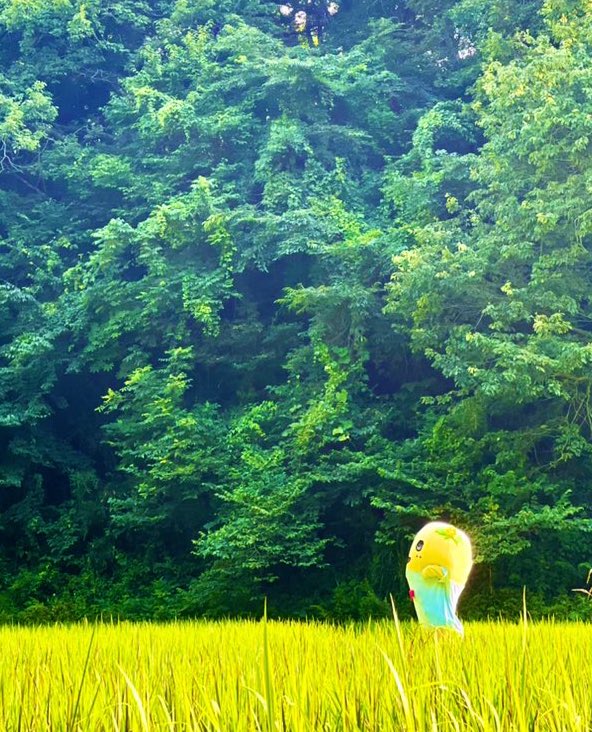 十四度目の春が訪れました
生きていると忘れてはならない日が
だんだん増えていきますね

大切な人を失うことは悲しく
幸せを沢山くれた事に気付かされます
いっぱい泣いて立ち直って
その人に心配しないでねと
最後に感謝するまでが
きっと幸せなのだと思います

今も頑張っている東北に光あれ