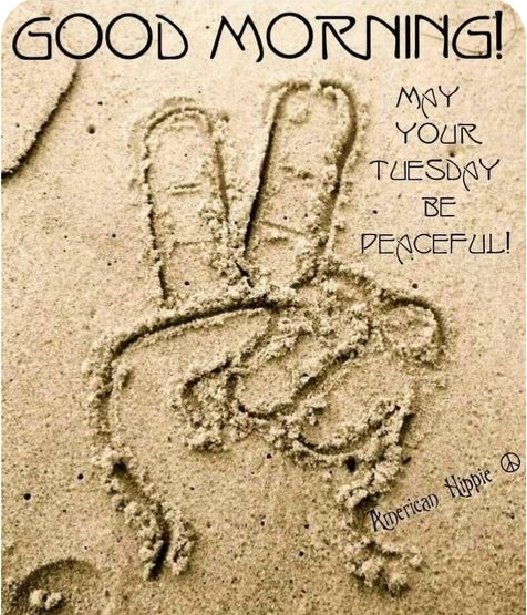 Terryll Jordaan (@jordaan86010) on Twitter photo 