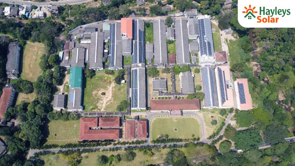 lbnbusinessnews's tweet image. Hayleys Solar Brings Solar Power to University of Peradeniya
tinyurl.com/24oowbk9
#HayleysSolar #UniversityofPeradeniya #SolarPower