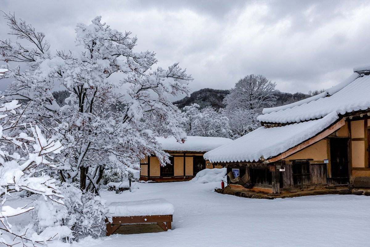 이곳의 설경은 정말 아름답습니다.