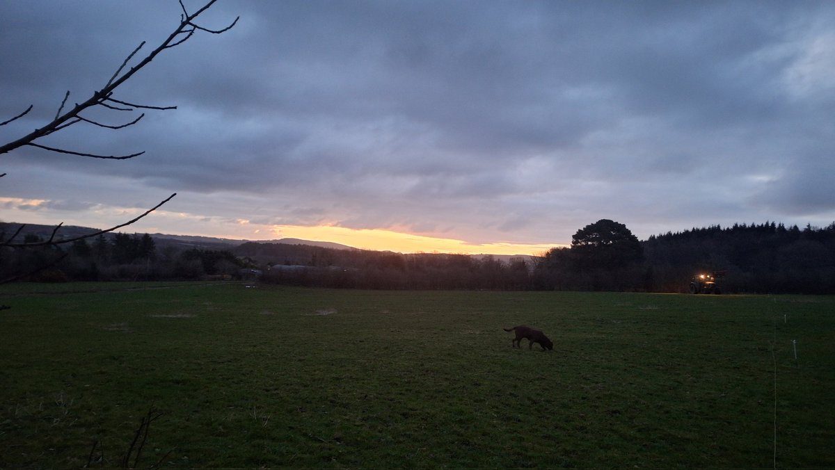 Best part of the day