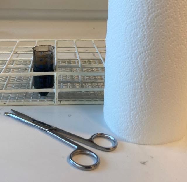 kartiksaiyer's tweet image. Our lab version of rock (mud), paper, scissors🤭. The mud always wins in our lab since it's special.
#sciencehumor #cablebacteria @CEMAarhus