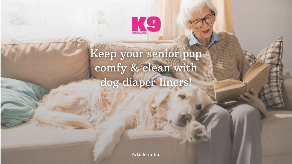 Senior dogs deserve comfort! 🐶💙 Diaper liners help prevent leaks, keep your pup dry, and make clean-up easy. Discover how they can improve your pet's quality of life:  #DogCare #k9magazine