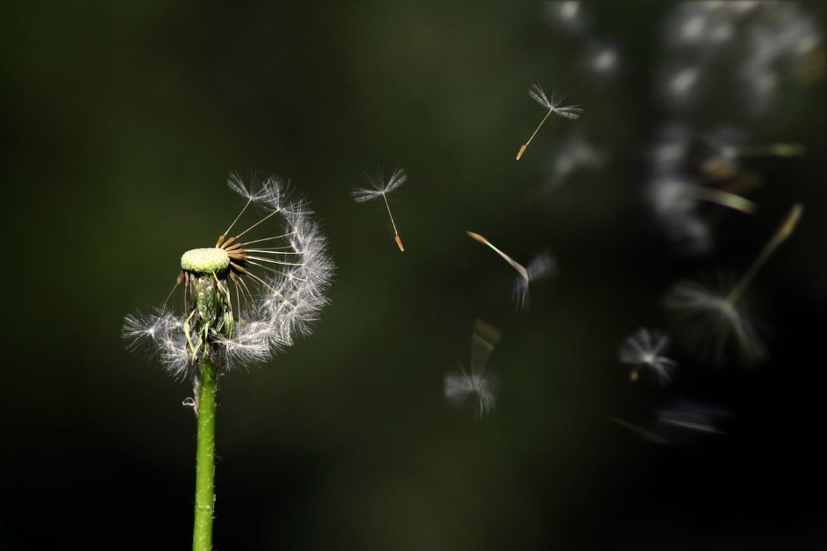 Letting go is hard.😥
When you refuse to let go of things that cause you pain or no longer benefit you, you stagnate and block your path to a brighter future.
Letting go doesn’t mean forgetting. It means choosing to move forward.
#lettinggo #freedom #PersonalGrowth