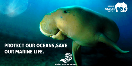 KWS Kiunga Marine National Reserve tweet media