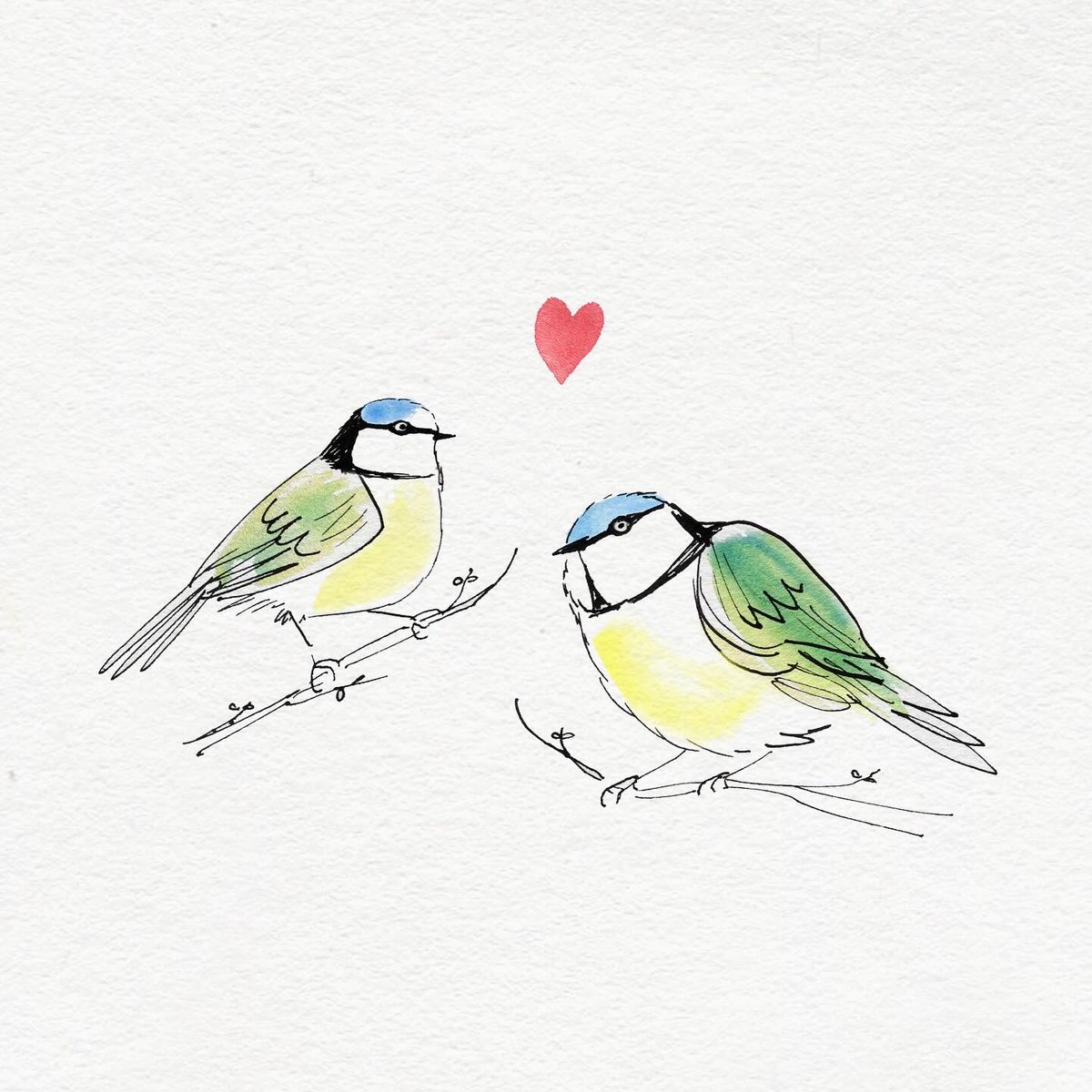 This weeks Norfolk wildlife A-Z B for Blue Tit. 
When out walking we’ve really enjoyed watching these little birds dash in and out of the hedgerows and trees. 
#dailydrawing #birds #bluetit #ArtistOnX #ArtistonTwitter #thedailysketch