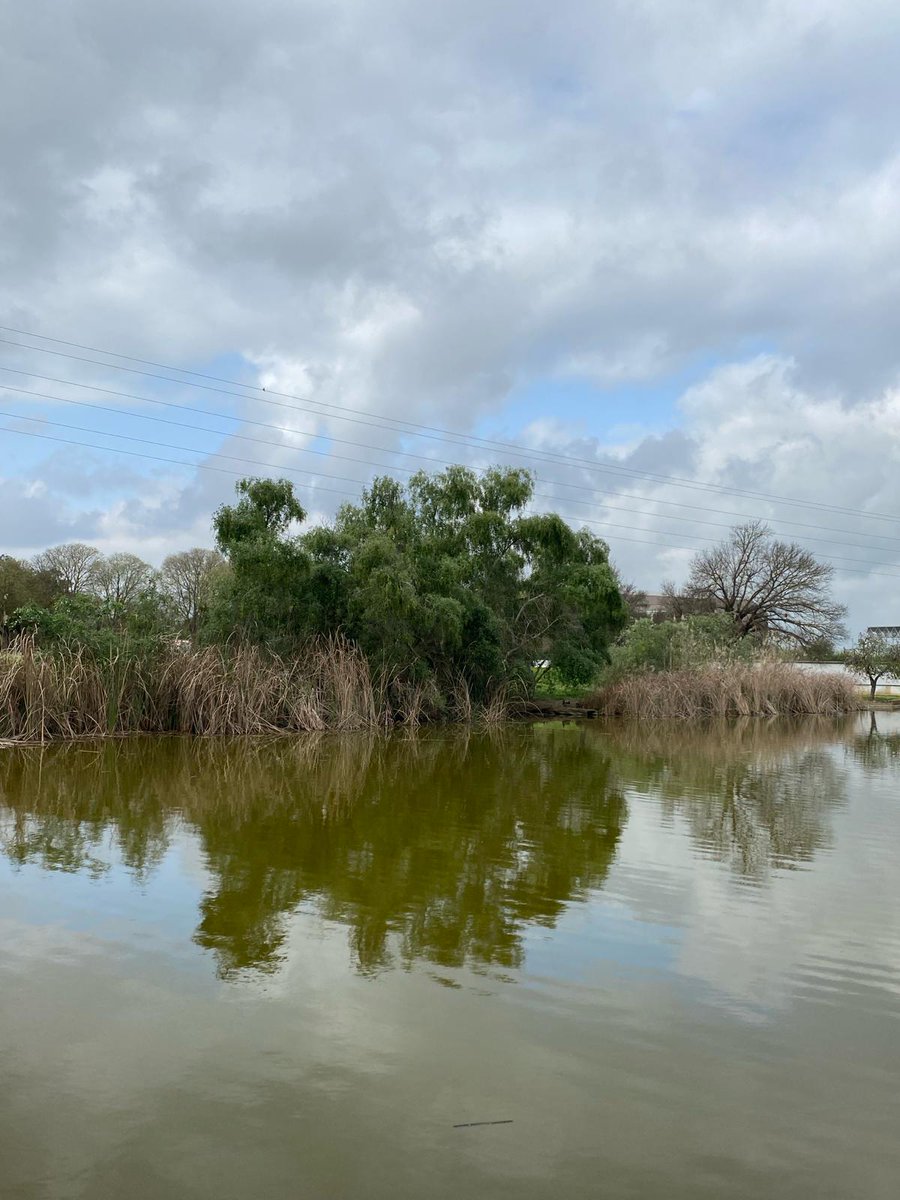 ParqueAlamillo's tweet image. Las adversas condiciones climatológicas mantendrán hoy también cerrado el #ParqueAlamillo.
#Lluvias2025 #Viento #Temporal 
@Rocio_DiazJ
@FomentoAND
@JuntaSevilla
@Ayto_Sevilla