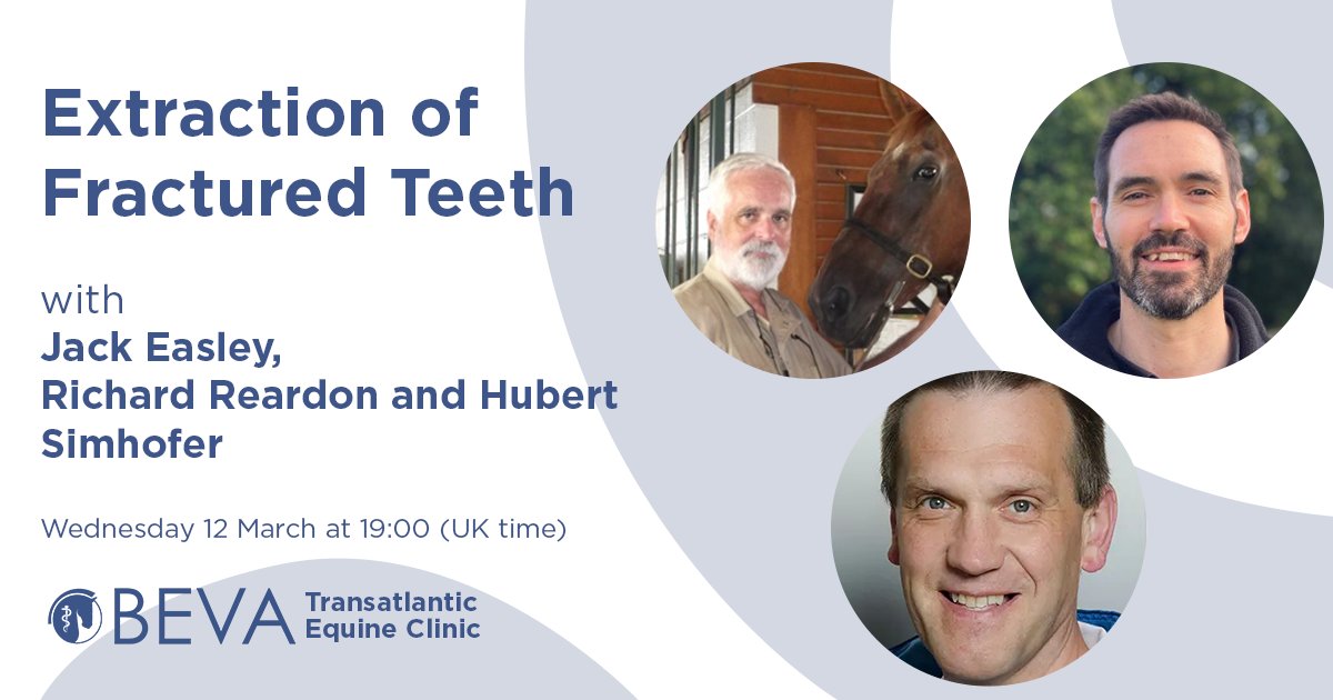 There's still time to sign up for our Transatlantic Equine Clinic tomorrow night! Join our vastly experienced panel to better understand common tooth fracture types and extraction methods available.

📆 Wednesday 12 March, 19:00 (UK time)
🔗 bit.ly/4ka7jm5