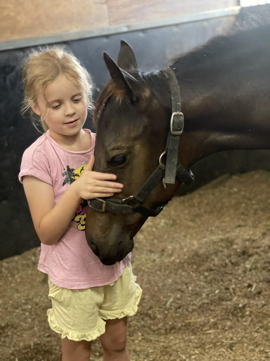 After school we cuddle weanlings 😍

If there's one thing Zoe loves more than riding her pony around the arena, it's checking in on the weanlings with mum Sarah after school.

She's just making sure this Farnan filly is ready for bed ☺️